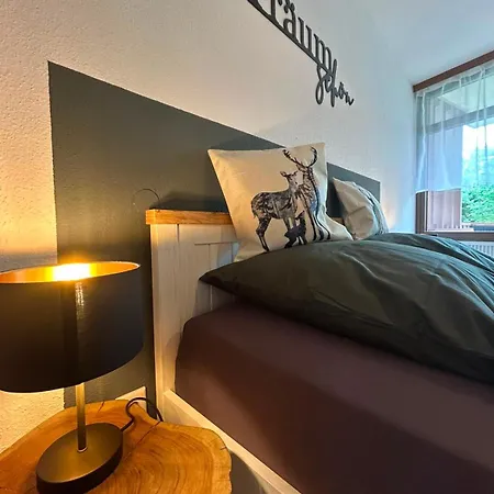 Blackforestbnb Seenestchen - Modernes 3 - Suedbalkon - Schwimmbad - Sauna - Fitness Schluchsee