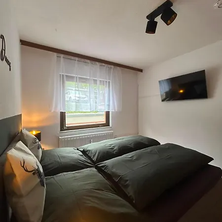 Blackforestbnb Seenestchen - Modernes 3 - Suedbalkon - Schwimmbad - Sauna - Fitness Lejlighed