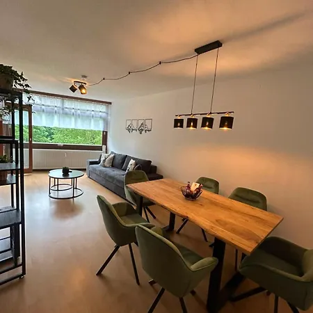 Blackforestbnb Seenestchen - Modernes 3 - Suedbalkon - Schwimmbad - Sauna - Fitness Lejlighed Schluchsee