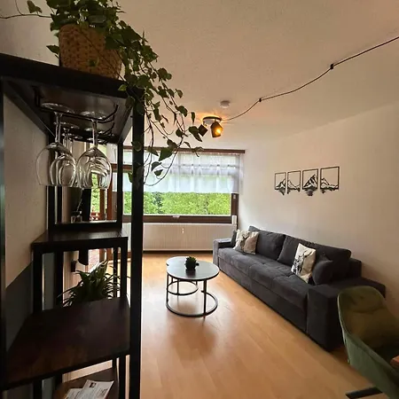 Blackforestbnb Seenestchen - Modernes 3 - Suedbalkon - Schwimmbad - Sauna - Fitness * Schluchsee